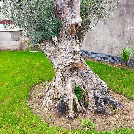 Casinha Do Rio * Soure