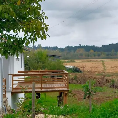 Casinha Do Rio Holiday home Soure